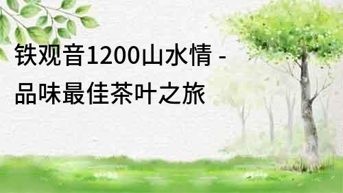 铁观音1200山水情 - 品味最佳茶叶之旅