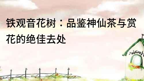 铁观音花树:品鉴神仙茶与赏花的绝佳去处