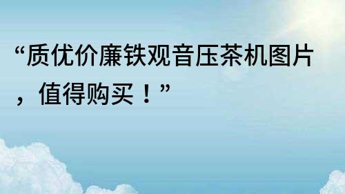 “质优价廉铁观音压茶机图片，值得购买！”