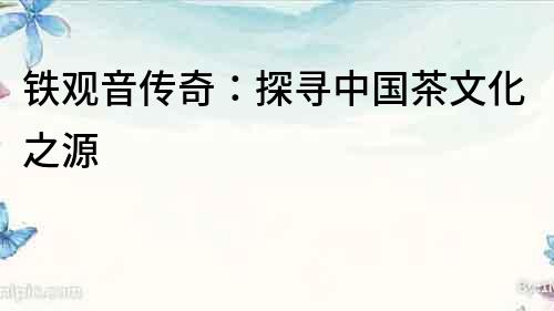 铁观音传奇：探寻中国茶文化之源