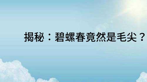 揭秘：碧螺春竟然是毛尖？！