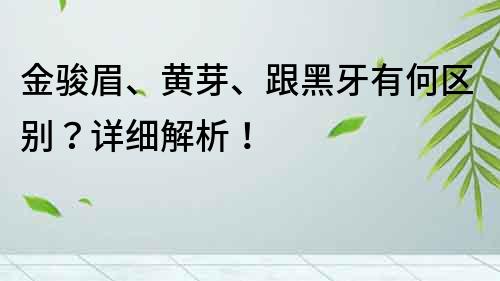金骏眉、黄芽、跟黑牙有何区别？详细解析！