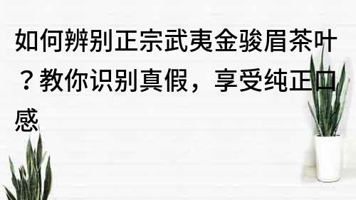 如何辨别正宗武夷金骏眉茶叶？教你识别真假，享受纯正口感