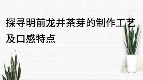 探寻明前龙井茶芽的制作工艺及口感特点