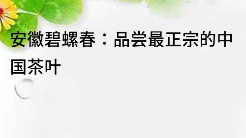 安徽碧螺春：品尝最正宗的中国茶叶