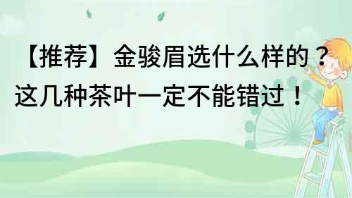 【推荐】金骏眉选什么样的？这几种茶叶一定不能错过！