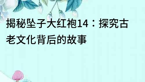 揭秘坠子大红袍14：探究古老文化背后的故事