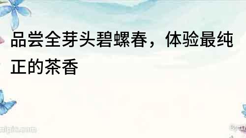 品尝全芽头碧螺春，体验最纯正的茶香