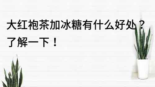 大红袍茶加冰糖有什么好处？了解一下！