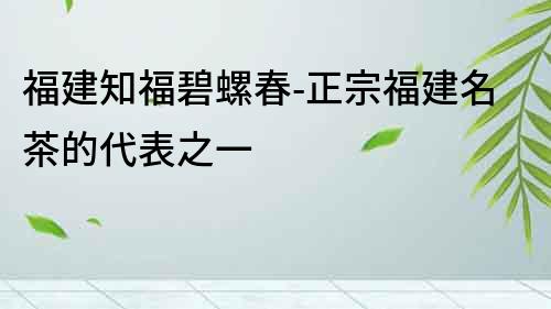 福建知福碧螺春-正宗福建名茶的代表之一