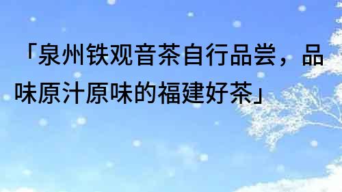 「泉州铁观音茶自行品尝，品味原汁原味的福建好茶」