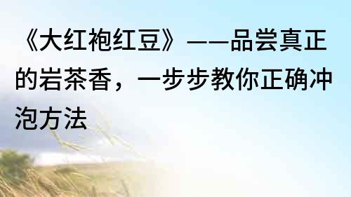 《大红袍红豆》——品尝真正的岩茶香，一步步教你正确冲泡方法