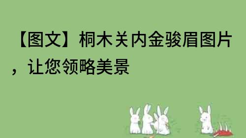 【图文】桐木关内金骏眉图片,让您领略美景