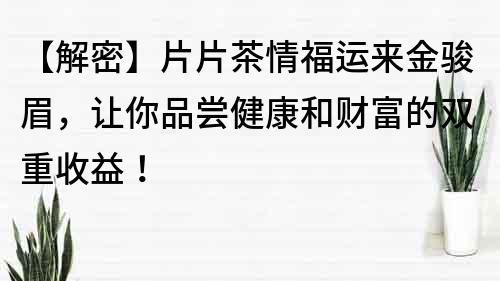 【解密】片片茶情福运来金骏眉，让你品尝健康和财富的双重收益！