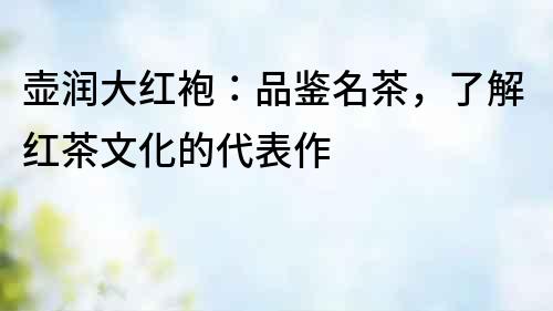 壶润大红袍：品鉴名茶，了解红茶文化的代表作
