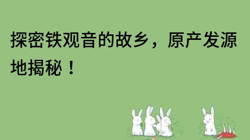 探密铁观音的故乡，原产发源地揭秘！