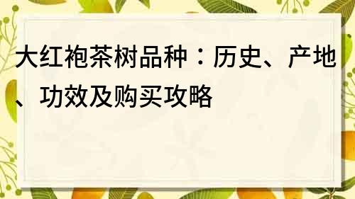 大红袍茶树品种：历史、产地、功效及购买攻略