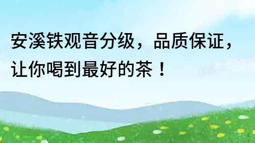 安溪铁观音分级，品质保证，让你喝到最好的茶！