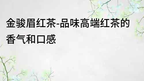 金骏眉红茶-品味高端红茶的香气和口感