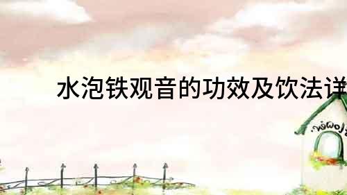 水泡铁观音的功效及饮法详解