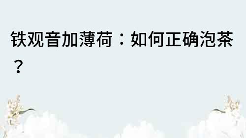 铁观音加薄荷：如何正确泡茶？