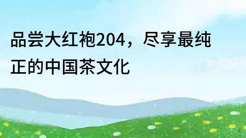 品尝大红袍204，尽享最纯正的中国茶文化