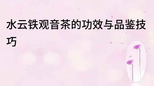 水云铁观音茶的功效与品鉴技巧