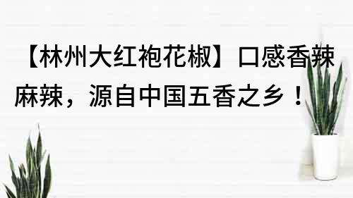 【林州大红袍花椒】口感香辣麻辣，源自中国五香之乡！