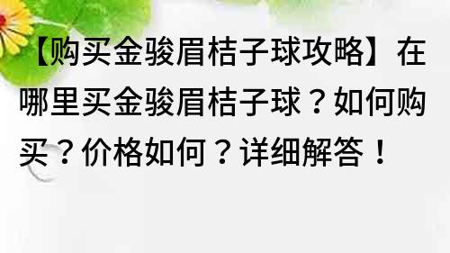【购买金骏眉桔子球攻略】在哪里买金骏眉桔子球？如何购买？价格如何？详细解答！