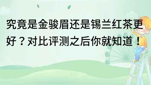 究竟是金骏眉还是锡兰红茶更好？对比评测之后你就知道！