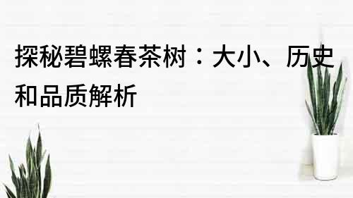 探秘碧螺春茶树：大小、历史和品质解析