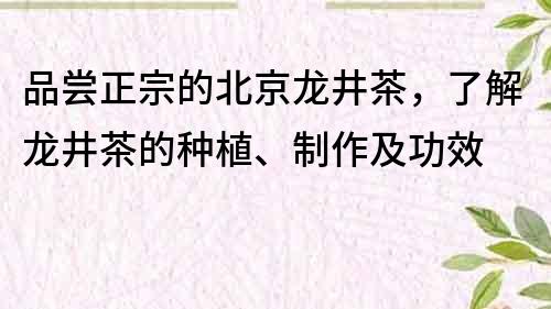 品尝正宗的北京龙井茶，了解龙井茶的种植、制作及功效