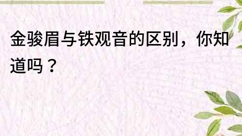 金骏眉与铁观音的区别，你知道吗？