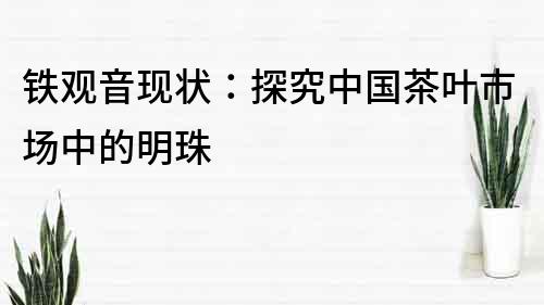 铁观音现状：探究中国茶叶市场中的明珠