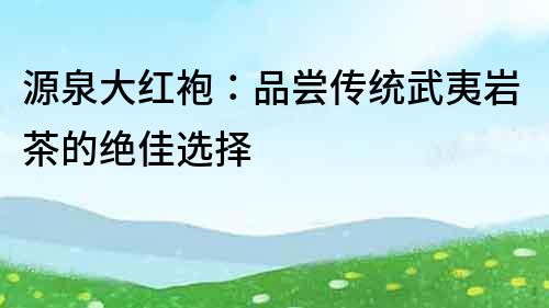 源泉大红袍：品尝传统武夷岩茶的绝佳选择