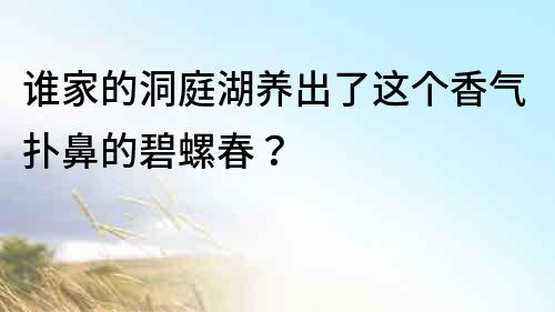 谁家的洞庭湖养出了这个香气扑鼻的碧螺春？