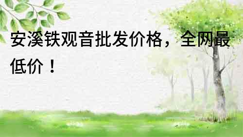 安溪铁观音批发价格，全网最低价！