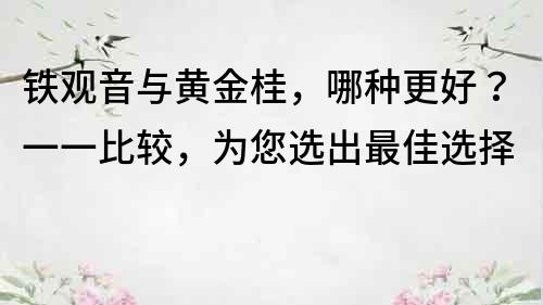 铁观音与黄金桂，哪种更好？一一比较，为您选出最佳选择