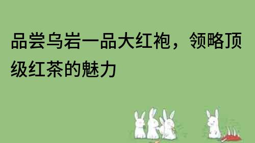 品尝乌岩一品大红袍，领略顶级红茶的魅力