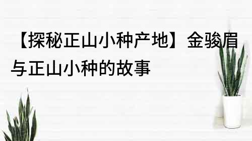 【探秘正山小种产地】金骏眉与正山小种的故事