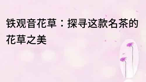 铁观音花草：探寻这款名茶的花草之美