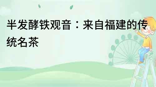 半发酵铁观音：来自福建的传统名茶