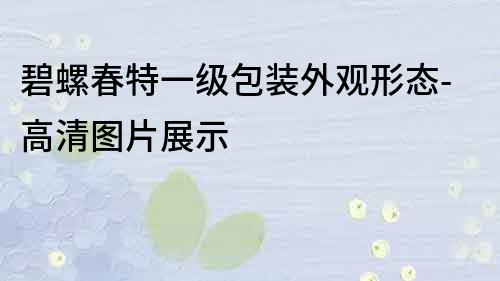 碧螺春特一级包装外观形态-高清图片展示