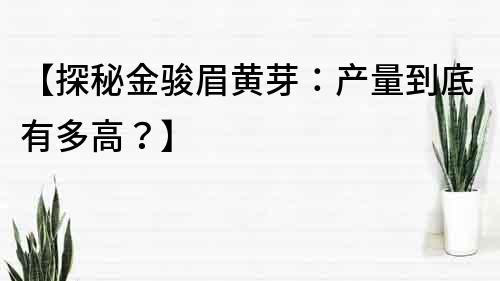 【探秘金骏眉黄芽：产量到底有多高？】