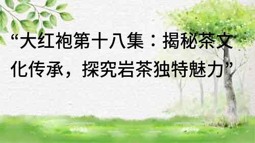 “大红袍第十八集：揭秘茶文化传承，探究岩茶独特魅力”