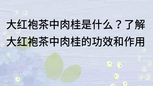 大红袍茶中肉桂是什么？了解大红袍茶中肉桂的功效和作用