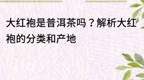 大红袍是普洱茶吗？解析大红袍的分类和产地