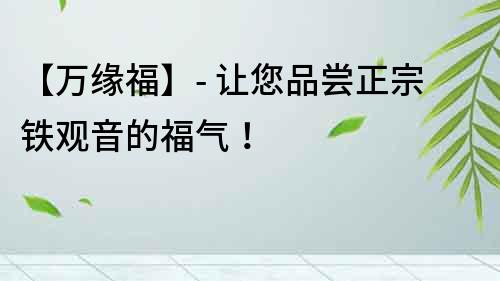 【万缘福】- 让您品尝正宗铁观音的福气！