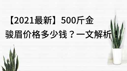 【2022最新】500斤金骏眉价格多少钱？一文解析！