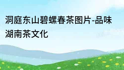 洞庭东山碧螺春茶图片-品味湖南茶文化